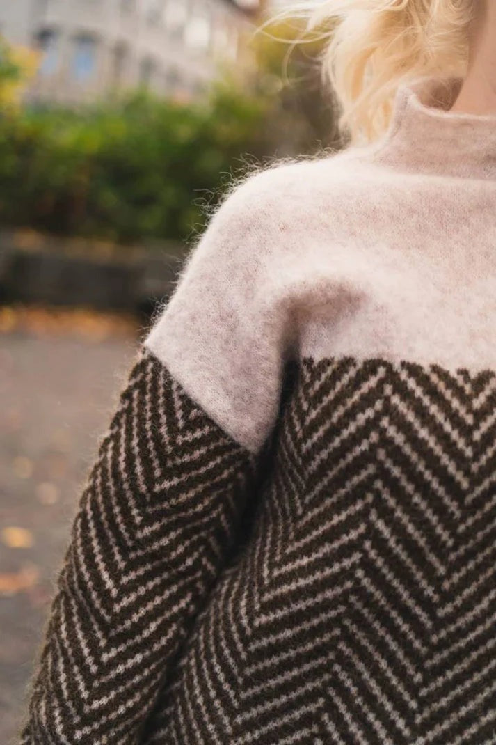 Daniella - Pull en Coton à Col Roulé