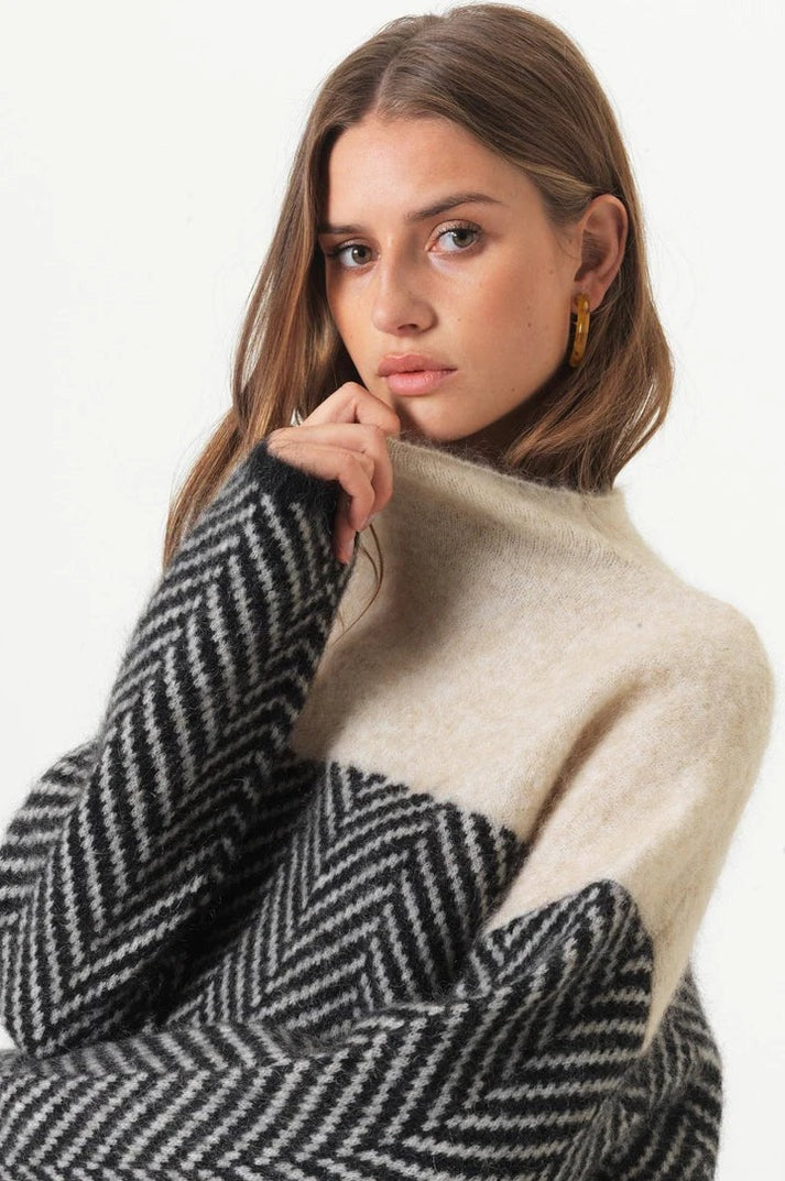 Daniella - Pull en Coton à Col Roulé